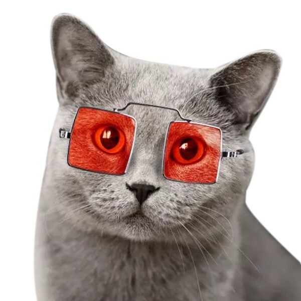 Lentes para mascotas